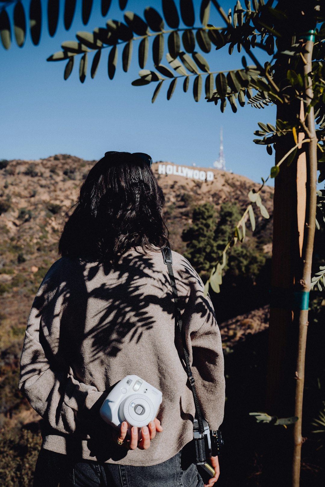 Чему нас учит книга «Маленькие женщины»?